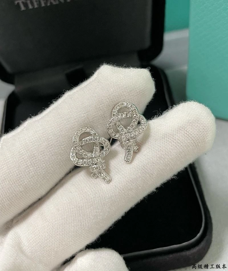 Minimalist Tiffany Earrings 253796
