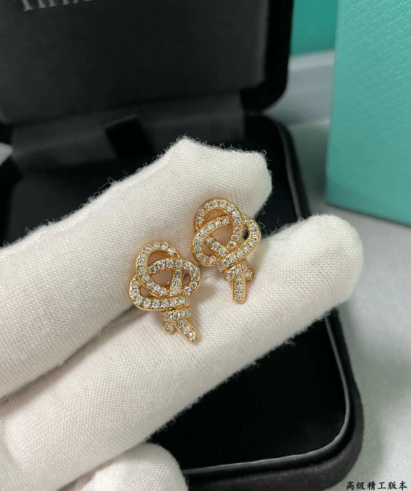 Minimalist Tiffany Earrings 253796