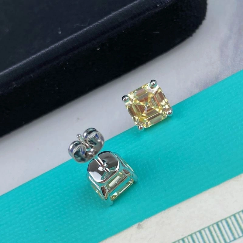 EyeCatching Tiffany Earrings 253805