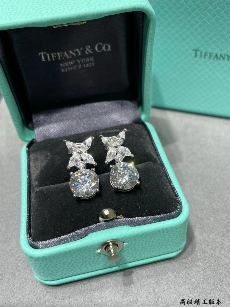 Snug Tiffany Earrings 253778