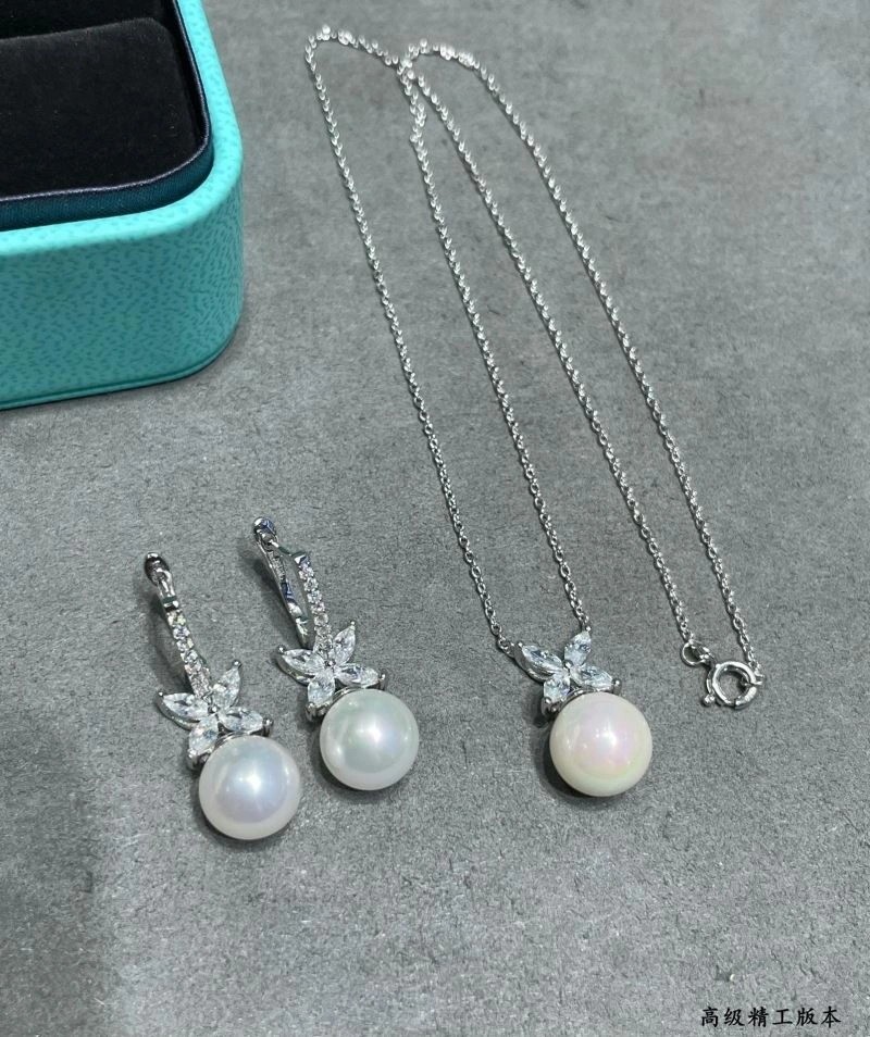 Tiffany Earrings Durable 253779