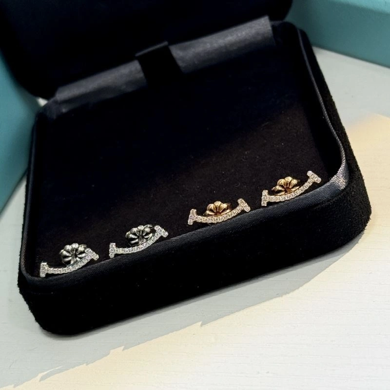 Tiffany Earrings Modern 253775