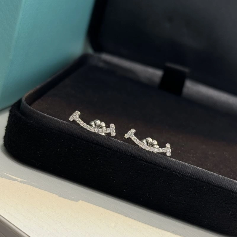 Tiffany Earrings Modern 253775
