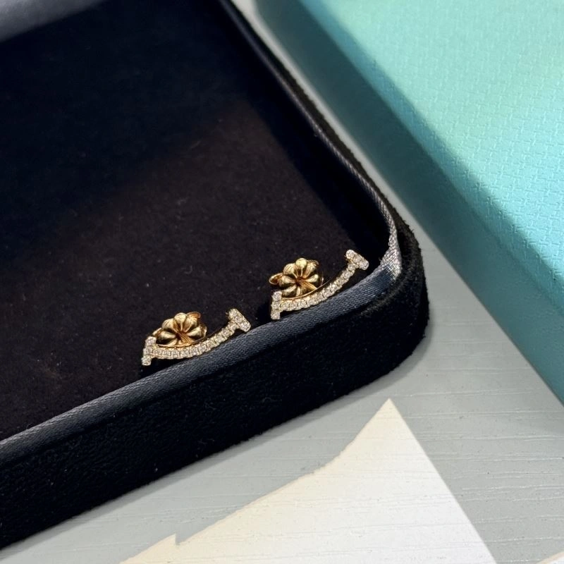 Tiffany Earrings Modern 253775