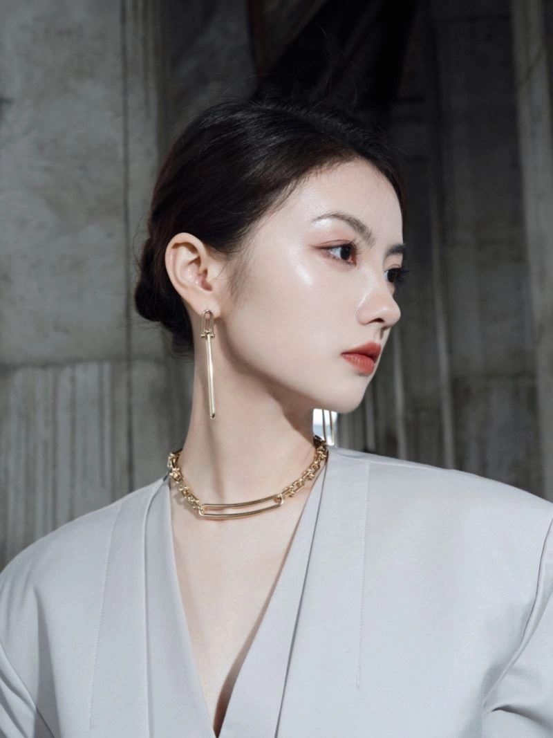 Tiffany Earrings HighPerformance 253643