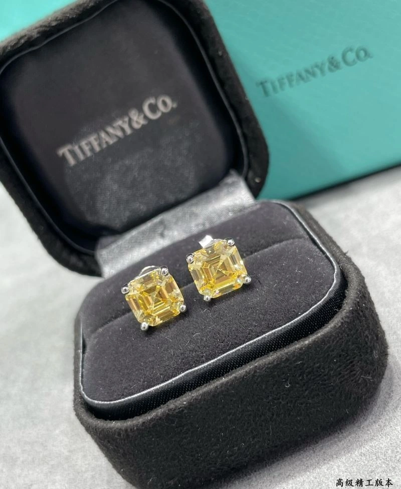 Refined Tiffany Earrings 253639