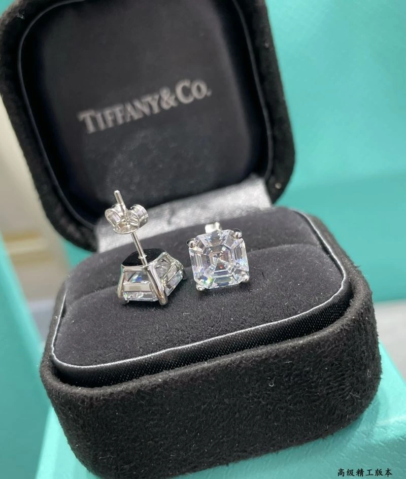 Elegant Tiffany Earrings 253627