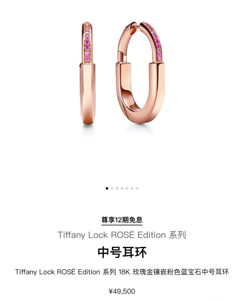 Tiffany Earrings EasyCare 253619