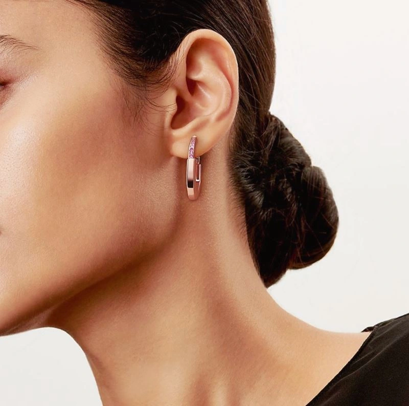 Tiffany Earrings EasyCare 253619
