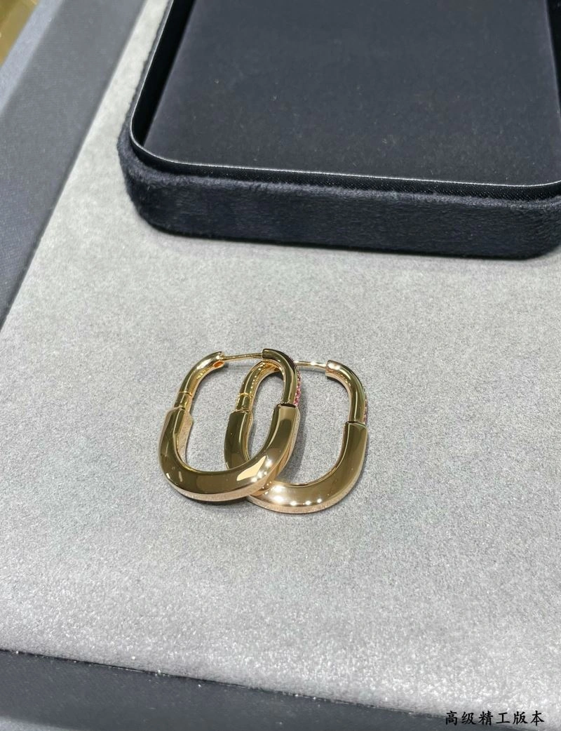 Tiffany Earrings EasyCare 253619