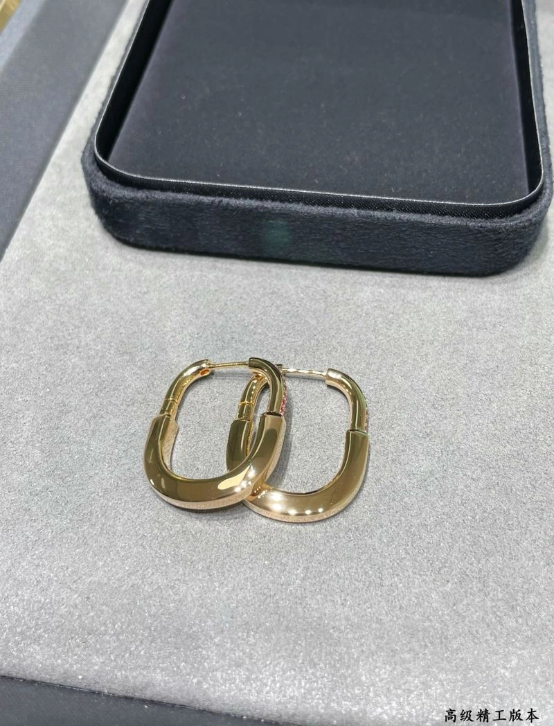 Tiffany Earrings EasyCare 253619