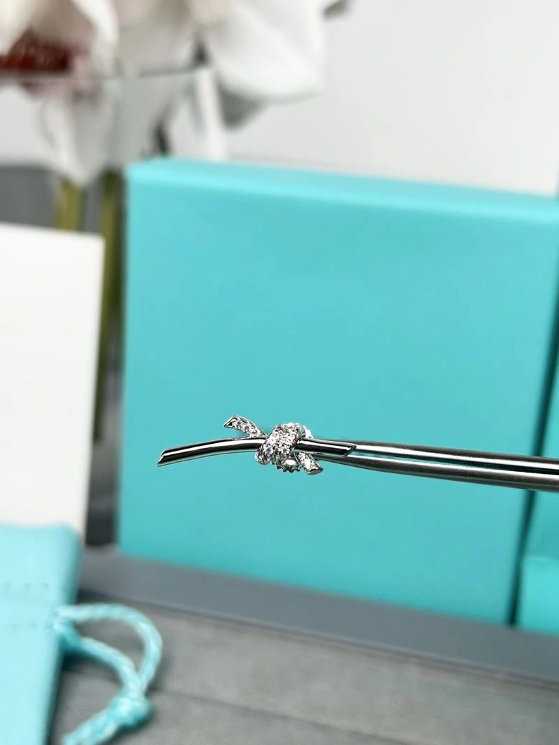 Tiffany Earrings Trendsetting 253613