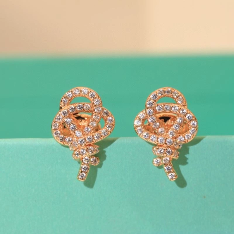 Minimalist Tiffany Earrings 253521