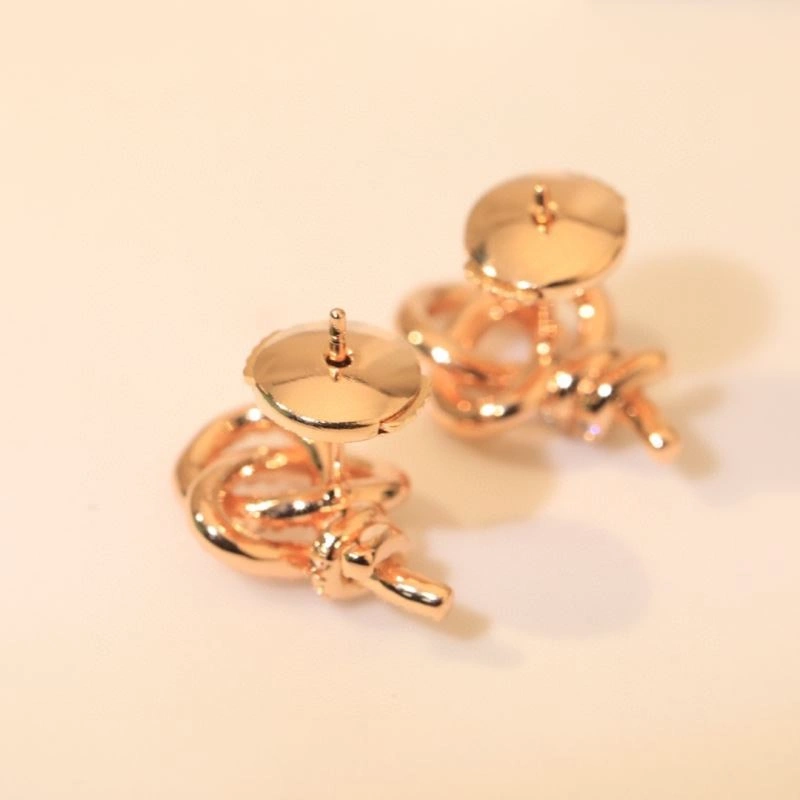 Minimalist Tiffany Earrings 253521