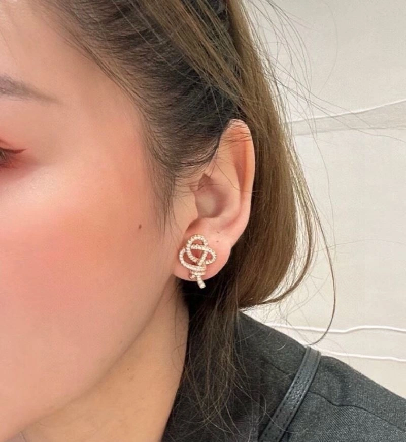 Minimalist Tiffany Earrings 253521