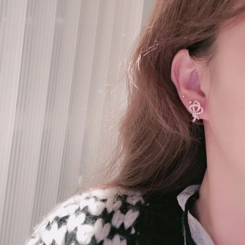 Minimalist Tiffany Earrings 253521