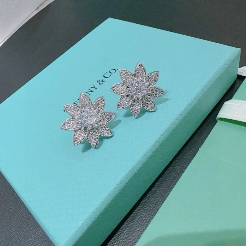 Tiffany Earrings Popular 253500