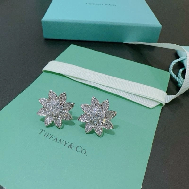 Tiffany Earrings Popular 253500