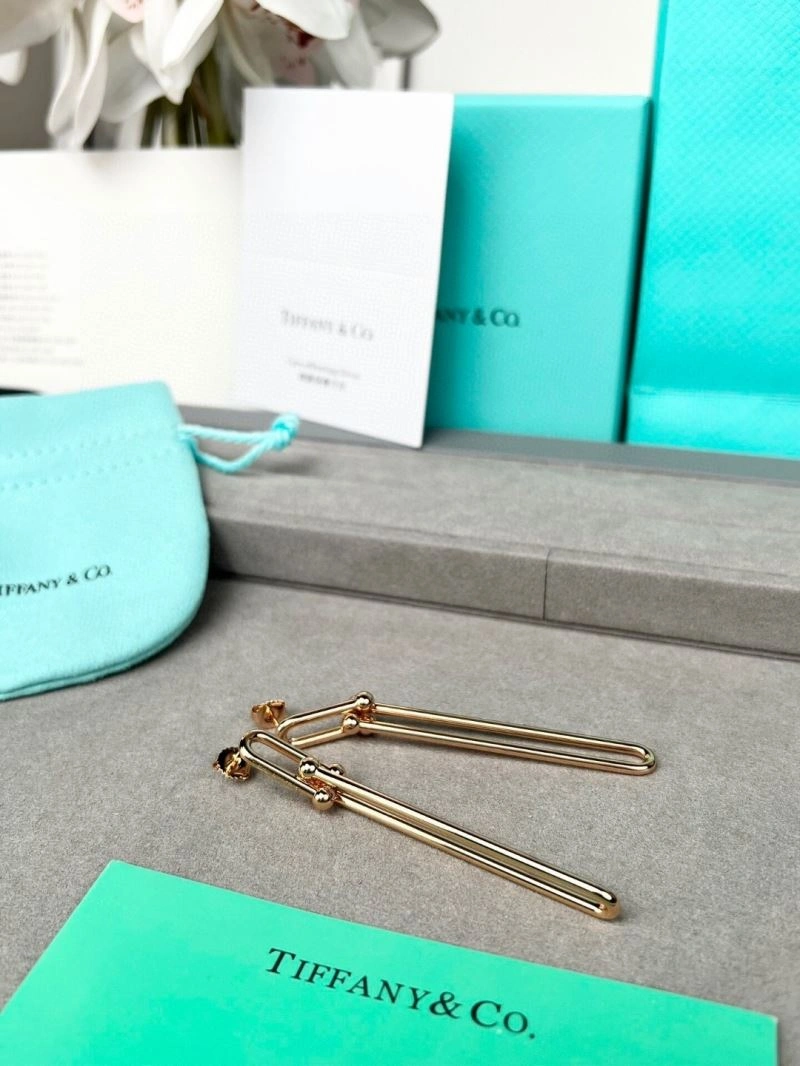 EyeCatching Tiffany Earrings 253499