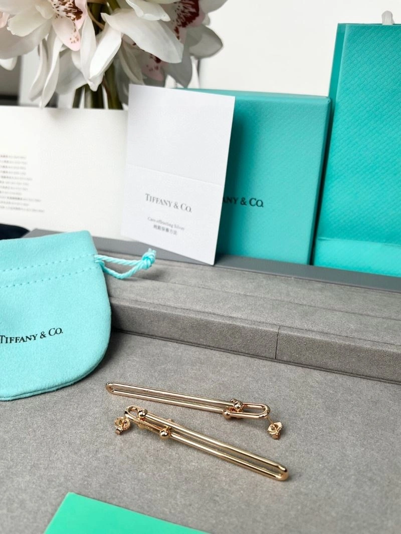 EyeCatching Tiffany Earrings 253499