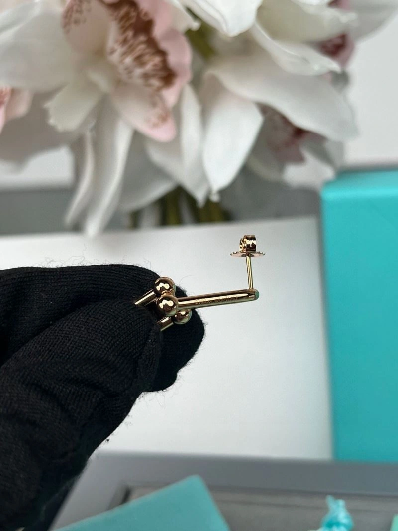EyeCatching Tiffany Earrings 253499