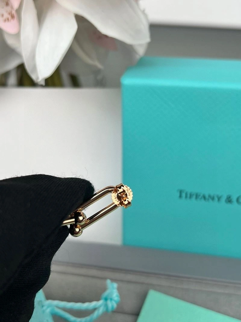 EyeCatching Tiffany Earrings 253499