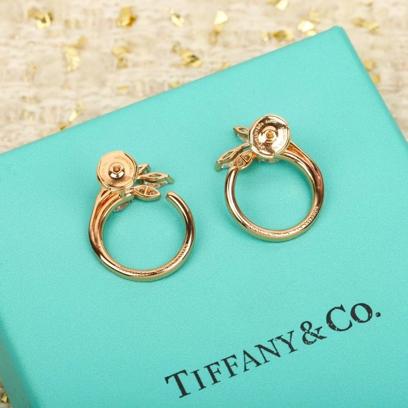 Tiffany Earrings Youthful 253511