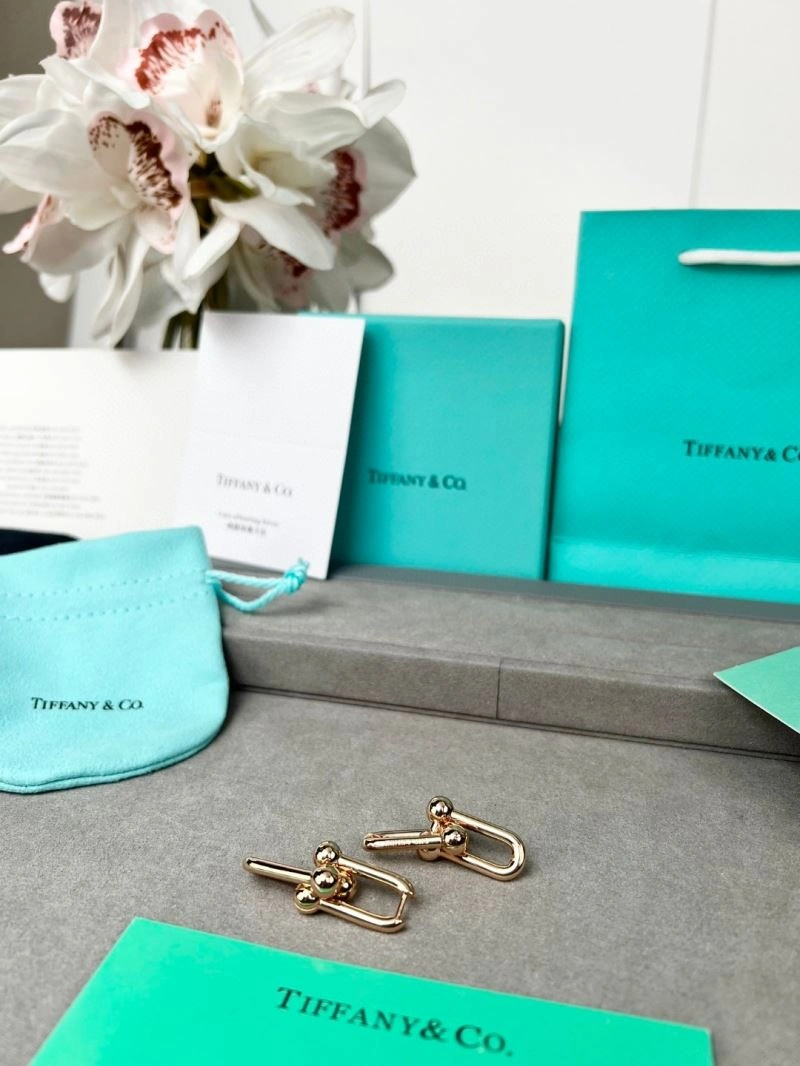 Tiffany Earrings EyeCatching 253389
