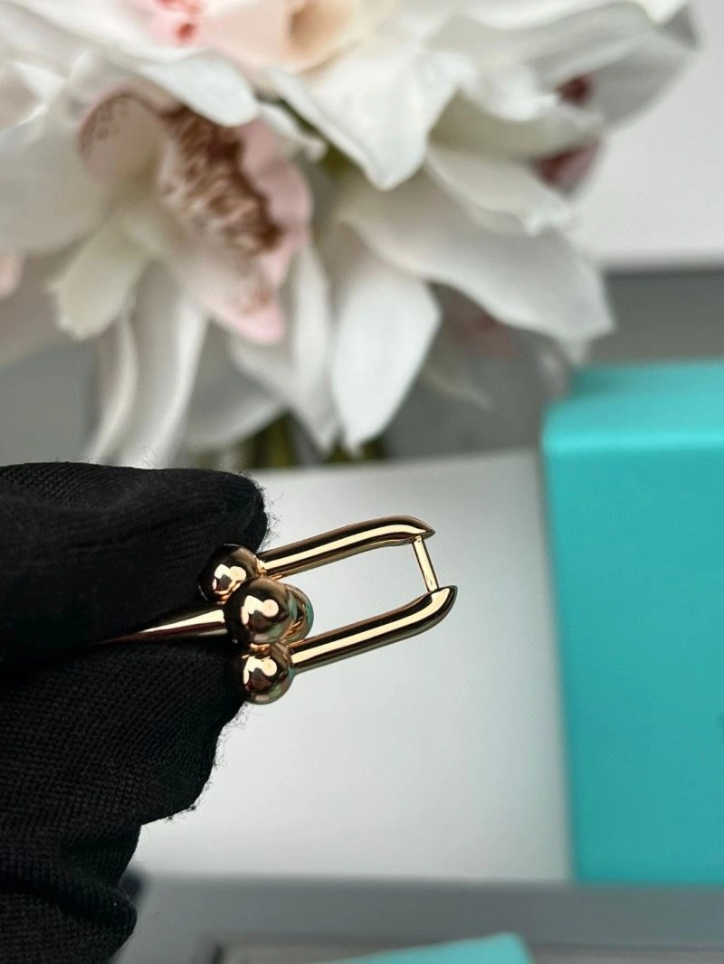 Tiffany Earrings EyeCatching 253389