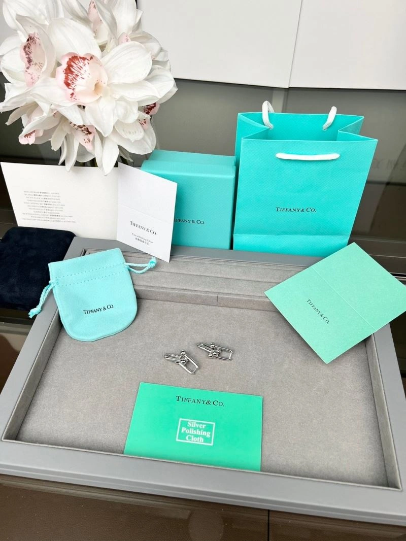 Tiffany Earrings ComfortFit 253373