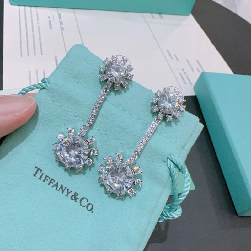 Tiffany Earrings MultiPurpose 253372