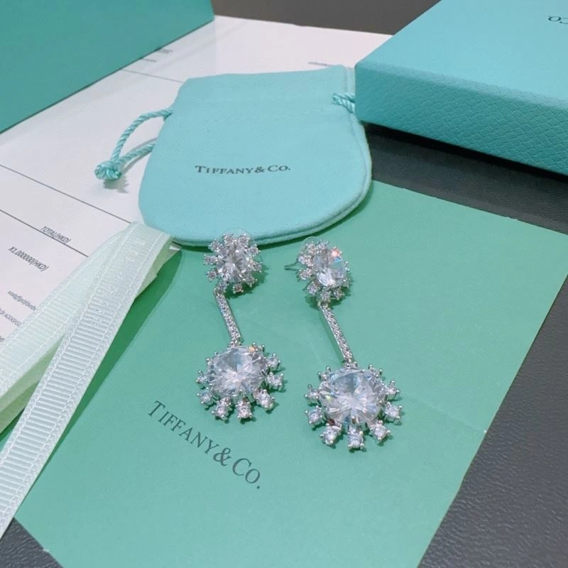 Tiffany Earrings MultiPurpose 253372