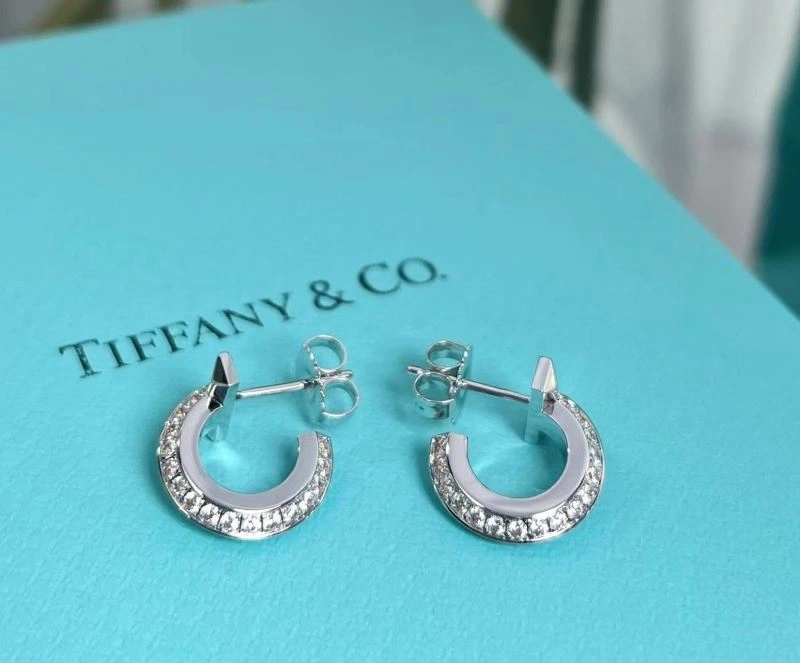 EasyCare Tiffany Earrings 253384