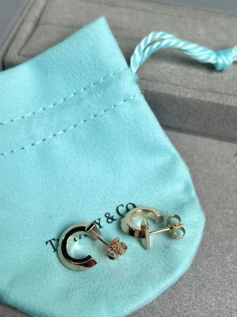 Neat Tiffany Earrings 253375