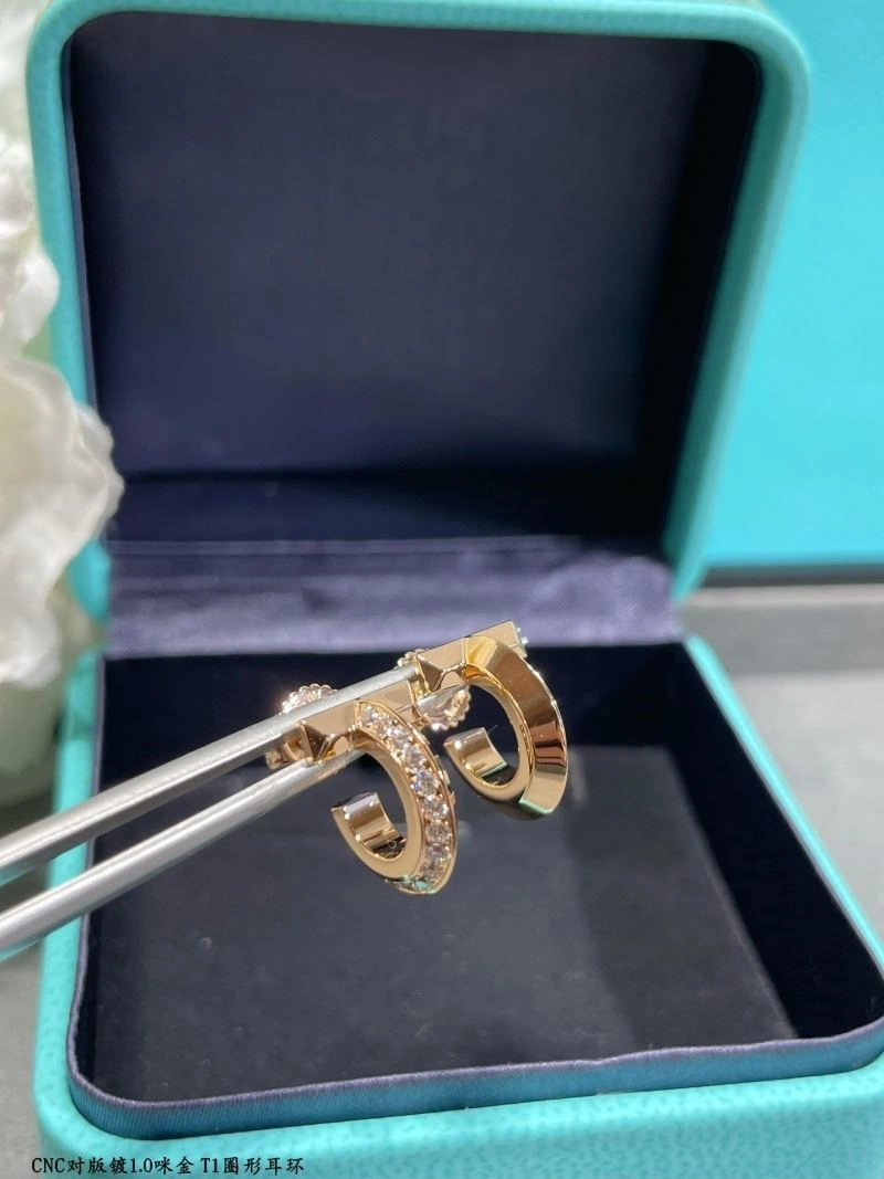 Tiffany Earrings Snug 253212