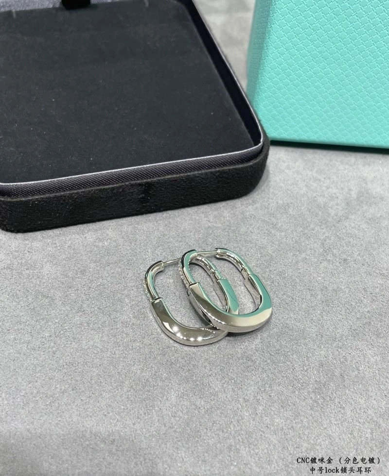 Tiffany Earrings GoodFit 253231
