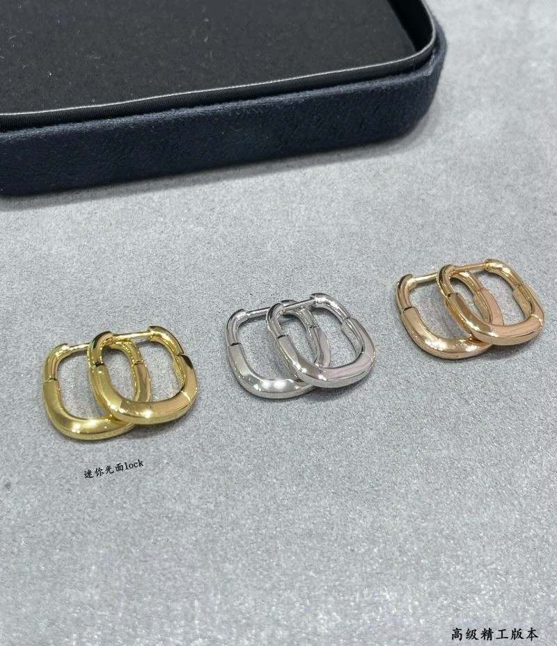 Tiffany Earrings Upgraded 253236