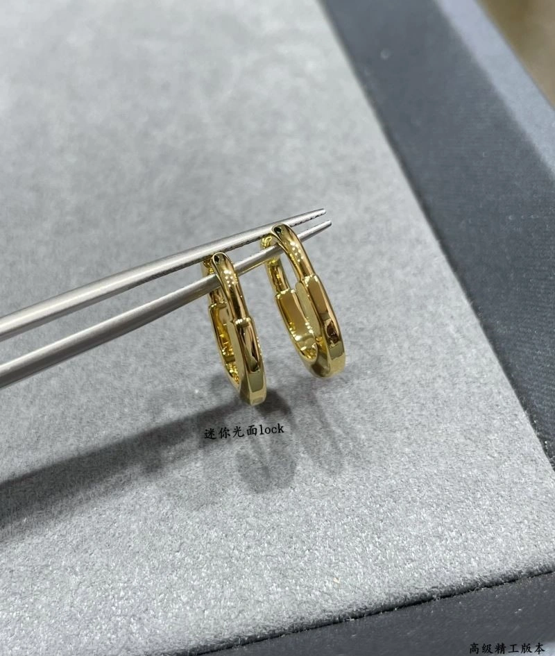 Tiffany Earrings Upgraded 253236