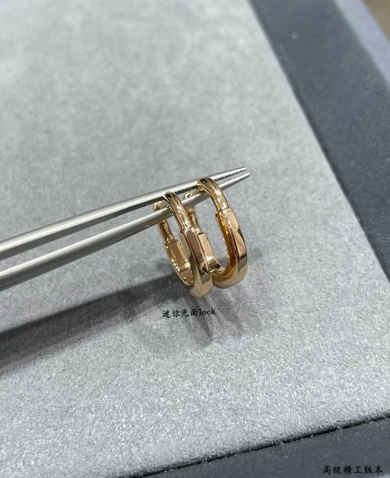 Tiffany Earrings Upgraded 253236