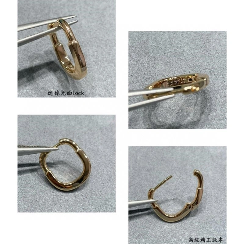 Tiffany Earrings Upgraded 253236