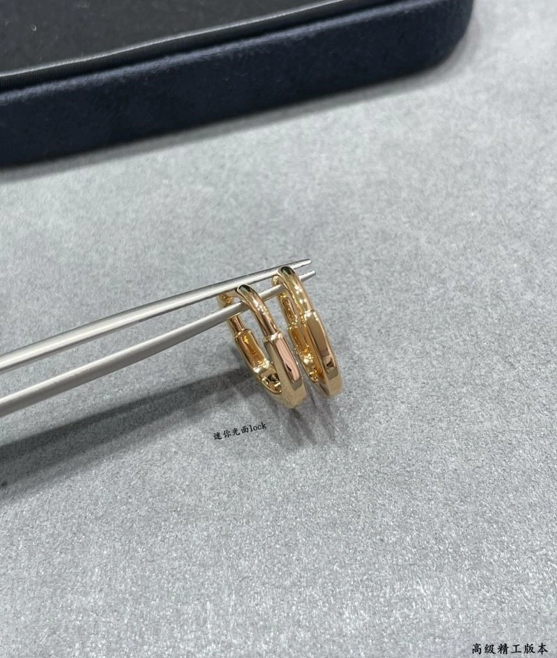 Tiffany Earrings Upgraded 253236