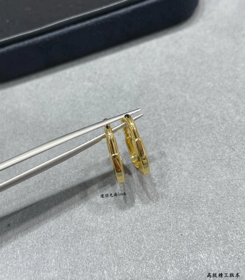 Tiffany Earrings Upgraded 253236