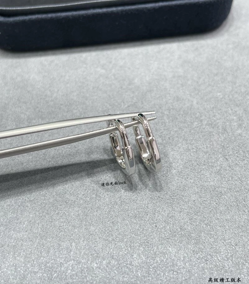 Tiffany Earrings Upgraded 253236