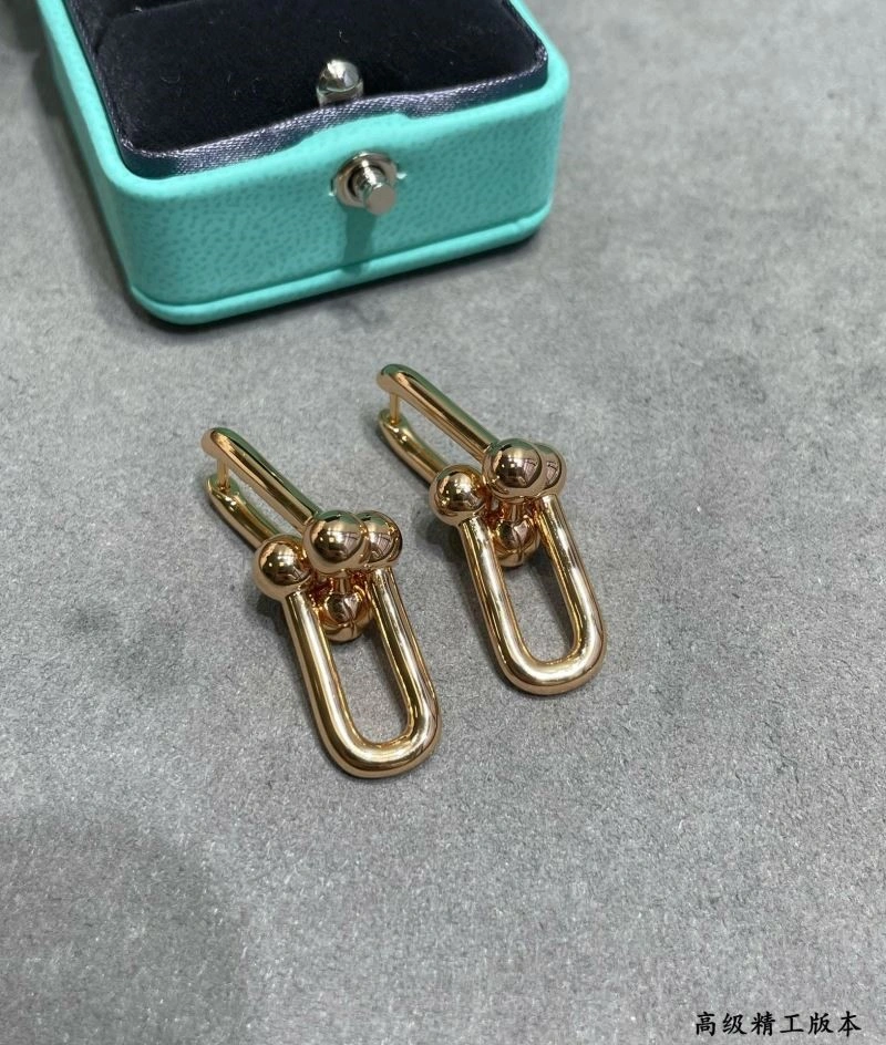 Tiffany Earrings ModernLook 253239