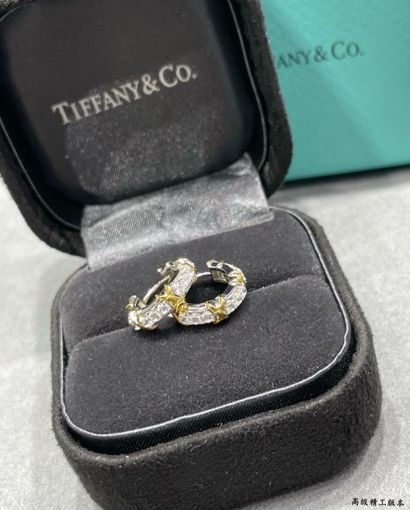 AllSeason Tiffany Earrings 253226