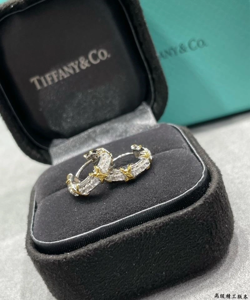AllSeason Tiffany Earrings 253226