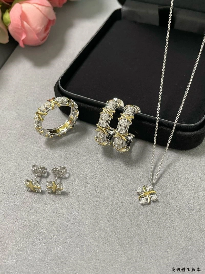 Tiffany Earrings Bold 253219