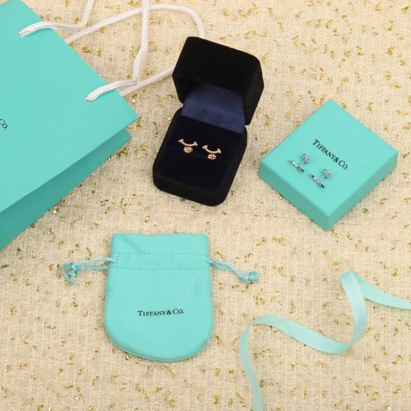 Tiffany Earrings Classic 253241