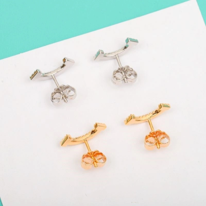 Tiffany Earrings Classic 253241