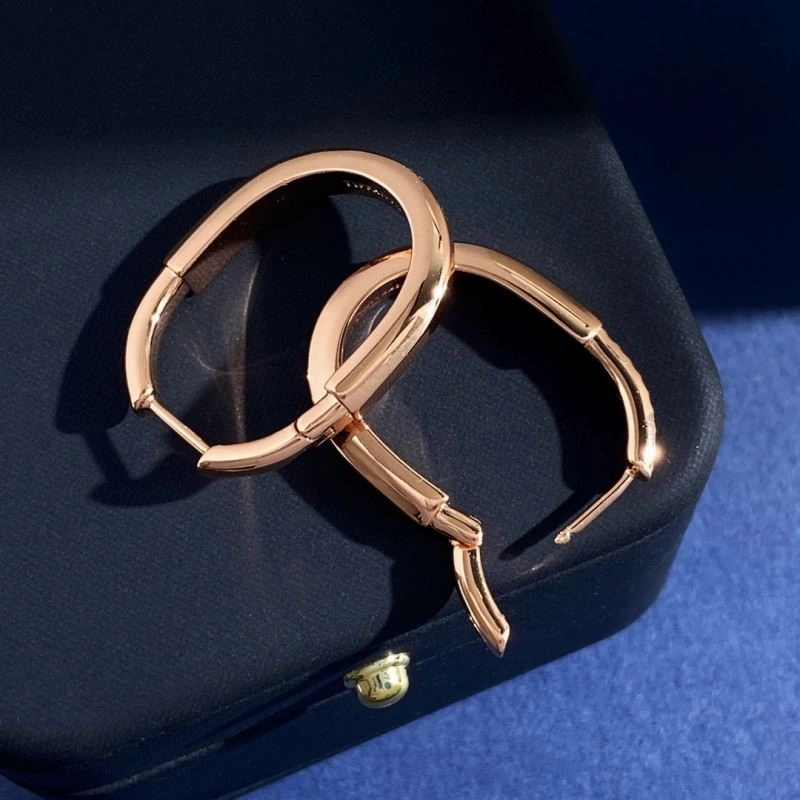 Tiffany Earrings Unisex 253204